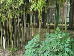 -王家大院