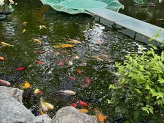 -白家大院·王府宫廷菜(苏州街店)