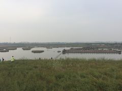 -南大港湿地风景区