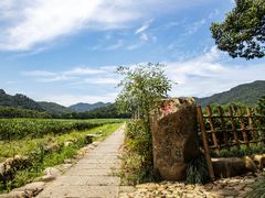 -中国茶叶博物馆(双峰馆区)