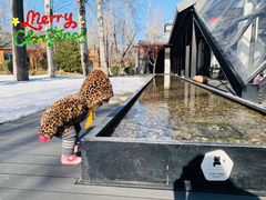-禧宴Joyous Restaurant(禧园店)