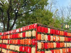 -梁鸿国家湿地公园