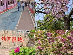 -太阳宫公园