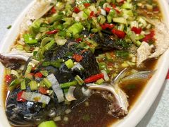 -蜀竹情酒楼(北营房店)