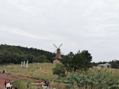-大塘金香草谷
