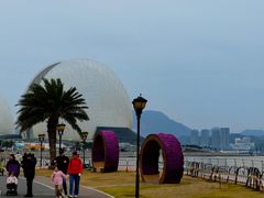 -野狸岛