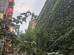 -重庆十八梯传统风貌区