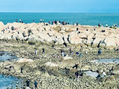 -公平面馆(总店)