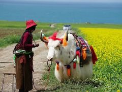-青海湖国家重点风景名胜区