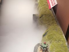-巴盟人家·内蒙地方菜(华丽家族店)