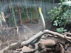 -上海大自然野生昆虫馆