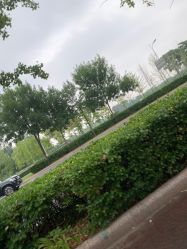 -HEYAN长风荷妍专业脱毛美肤
