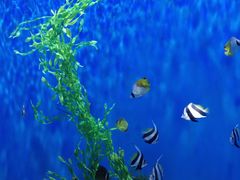 -石林冰雪海洋世界