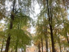 -游心咖啡(青山滨江店)