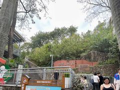-佛山华盖山公园