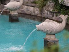 -杭州第一世界大酒店·云曼温泉
