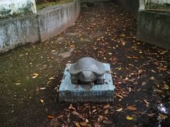 -分塔山省级森林公园