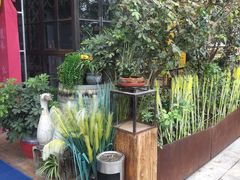 -胡桃里音乐酒馆(石家庄店)