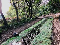 -人民公园(罗湖区)