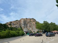 -西霞口神雕山野生动物世界