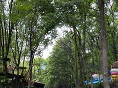 -紫金山山顶公园