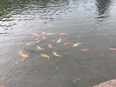 -白马涧龙池景区