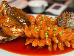 -RIVIERA 松鹤楼(外滩店)