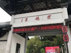-紫鹊界梯田景区