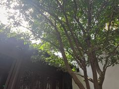 -南京市民俗博物馆(甘熙宅第)