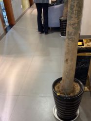 -苏亚医美·高端注射明星整形机构