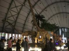 -辽宁古生物博物馆