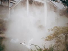 -广富林宰相府酒店·水云间