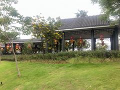-映月湖公园