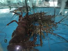 -虎门不夜天海鲜市场