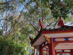 -中山公园