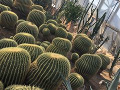 -北京植物园-展览温室