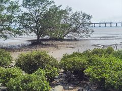 -宝安西湾红树林湿地公园