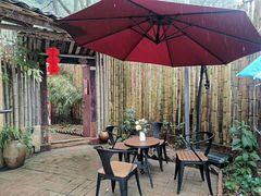 -遇龙河大樟树农家乐