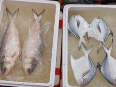 -江杨农产品批发市场