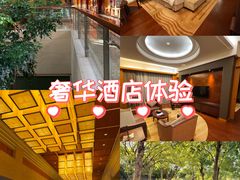 -东莞松山湖凯悦酒店