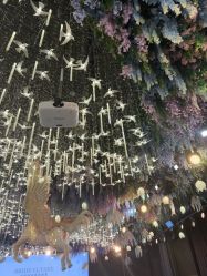 -花嫁丽舍婚礼殿堂(世博江景店)