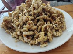 -小叶大馅饺子城