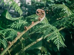 -国家植物园南园