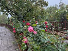 -潭柘厚院(桑峪村店)