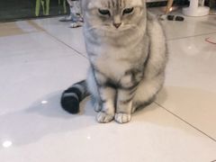 -平行世界·猫咖(首经贸店)