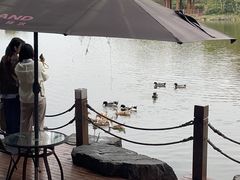 -上海怡沁园度假酒店