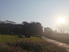 -浔味·山屿湖·正宗淳牌全鱼宴老字号