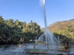 -西双版纳原始森林公园