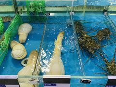 -清水湾3号(东方小周海鲜店)