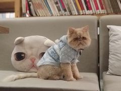 -小时光咖啡馆(开森度假森林店)